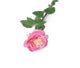 Artificial 92cm Single Stem Fully Open Pink Rose - Closer2Nature