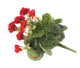 Artificial 38cm Red Zonal Geranium Plug Plant - Closer2Nature