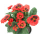 Artificial 30cm Red Pansy Plug Plant - Closer2Nature