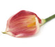 Artificial 94cm Single Stem Purple Calla Lily - Closer2Nature