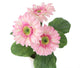 Artificial 1ft Pink Gerbera Plant - Closer2Nature