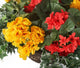 Artificial Red and Yellow Begonia Display in a 10″ Round Willow Hanging Basket - Closer2Nature