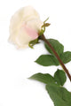 Artificial 72cm Single Stem Fully Open White Rose - Closer2Nature
