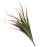 Artificial 45cm Red and Green Yucca Plug Plant - Closer2Nature