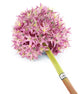Artificial 89cm Single Stem Purple Allium - Closer2Nature
