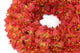Artificial 44cm Orange Bougainvillea Wreath Display - Closer2Nature