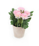 Artificial 18cm Pink Chrysanthemum Plant with Gift Box - Closer2Nature