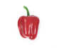 Artificial 8cm Bell Pepper - Closer2Nature