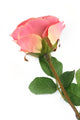Artificial 72cm Single Stem Fully Open Dusky Pink Rose - Closer2Nature