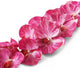 Artificial 109cm Single Stem Magenta Phalaenopsis Orchid - Closer2Nature