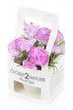 Artificial 15cm Purple Carnation Plant with Gift Box - Closer2Nature