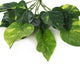 Artificial 30cm Pothos Plug Plant - Closer2Nature
