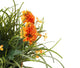 Artificial 27cm Deep Orange Chrysanthemum Plant Display - Closer2Nature