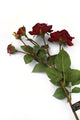 Artificial 87cm Single Stem Burgundy Spray Rose - Closer2Nature