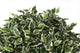 Artificial 2ft Variegated Weeping Fig Tree - Closer2Nature