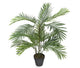 Artificial 2ft 6" Kentia Palm Tree - Closer2Nature