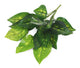 Artificial 35cm Speckled Variegated Leopard Lily Plug Plant - Closer2Nature