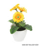 White Collection 16cm Curved Round White Plant Pot - Closer2Nature