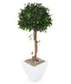 Artificial 3ft 5″ Danielle Weeping Fig Tree - Closer2Nature