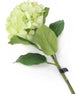 Artificial 87cm Single Stem Green Mophead Hydrangea - Closer2Nature