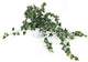 Artificial 57cm Variegated Ivy Plug Plant - Closer2Nature
