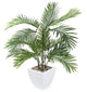 Artificial 2ft 6" Kentia Palm Tree - Closer2Nature