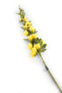 Artificial 118cm Single Stem Yellow Hollyhock