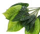 Artificial 30cm Variegated Taro Plug Plant - Closer2Nature