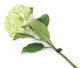 Artificial 87cm Single Stem Green Mophead Hydrangea - Closer2Nature