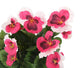 Artificial 30cm Pink Pansy Plug Plant - Closer2Nature