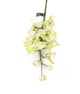 Artificial 84cm Single Stem Green Cymbidium Orchid - Closer2Nature