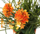 Artificial 27cm Deep Orange Chrysanthemum Plant Display - Closer2Nature