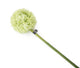 Artificial 89cm Single Stem Green Allium - Closer2Nature