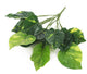 Artificial 30cm Pothos Plug Plant - Closer2Nature