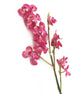 Artificial 69cm Single Stem Pink Miniature Phalaenopsis Orchid - Closer2Nature