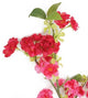 Artificial 129cm Single Stem Cerise Japanese Cherry Blossom - Closer2Nature