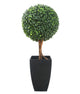 Artificial 2ft Boxwood Tree Ball Topiary - Closer2Nature