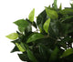 Artificial 2ft Danielle Weeping Fig Tree - Closer2Nature