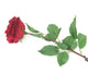Artificial 72cm Single Stem Fully Open Deep Red Rose - Closer2Nature
