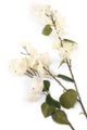 Artificial 107cm Single Stem White Bougainvillea - Closer2Nature