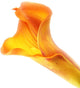 Artificial 94cm Single Stem Orange Calla Lily - Closer2Nature