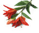 Artificial 87cm Single Stem Deep Orange Oriental Lily - Closer2Nature