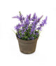 Artificial 18cm Purple Bellflower Plant with Gift Box - Closer2Nature