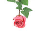 Artificial 52cm Single Stem Closed Bud Coral Pink Rose - Closer2Nature