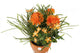 Artificial 27cm Deep Orange Chrysanthemum Plant Display - Closer2Nature