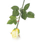 Artificial 60cm Single Stem Closed Bud Yellow and Cream Rose - Closer2Nature