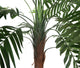 Artificial 3ft 6" Kentia Palm Tree - Closer2Nature
