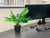 Artificial Green Plant on desk | Closer2Nature
