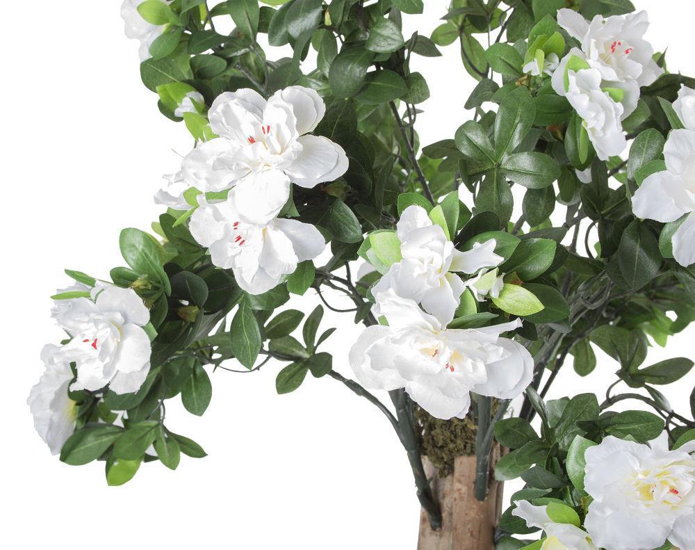 Azalea Trees and Bushes | Closer2Nature