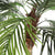 Artificial Pygmy Date Palm Trees